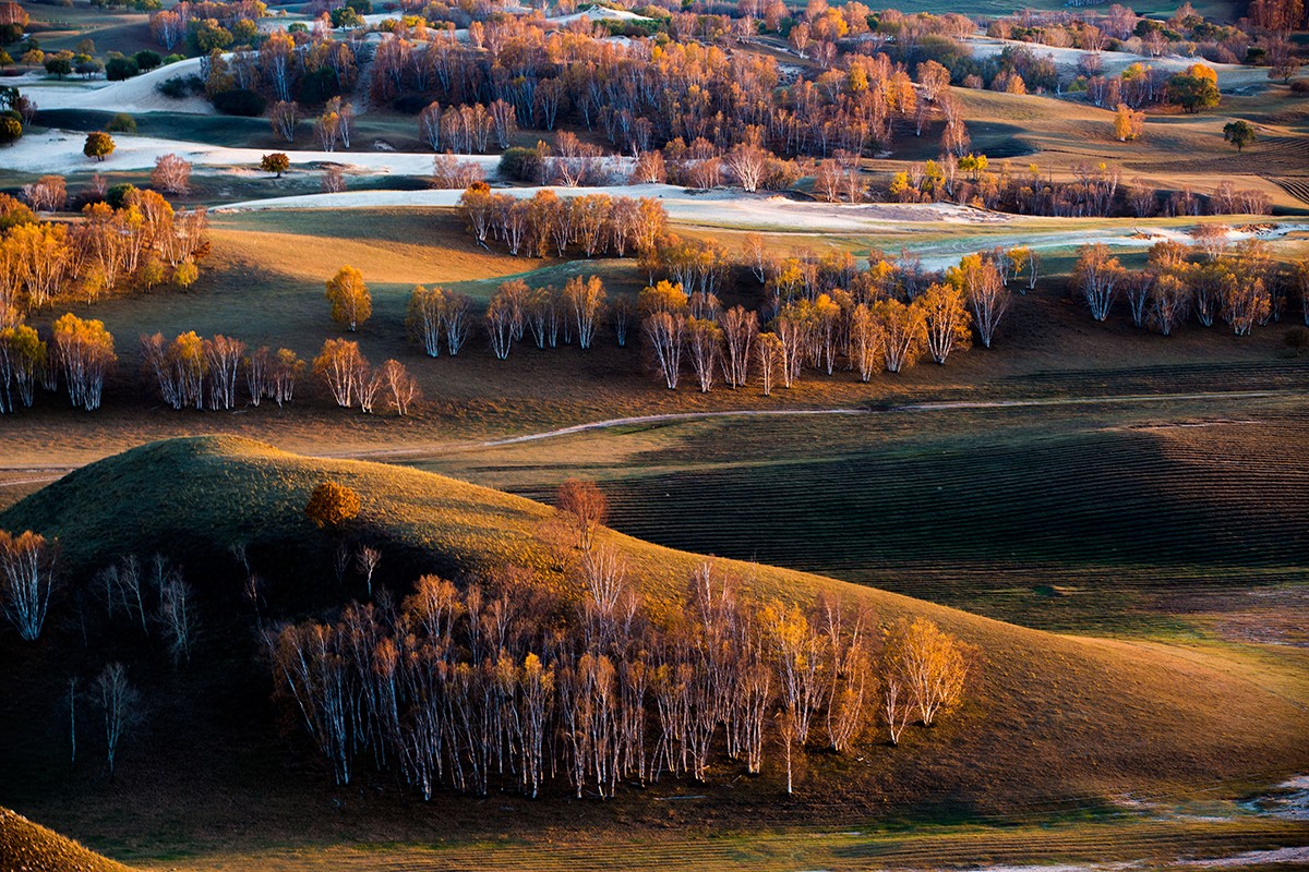 Bashang Grassland